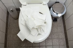 reasons for clogged toilets